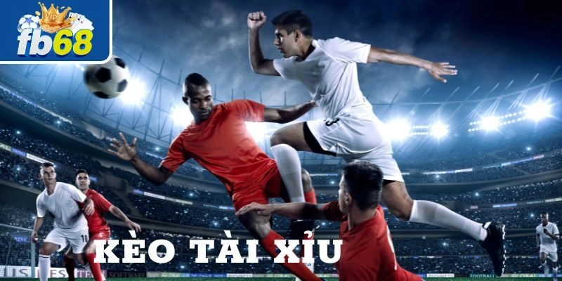 Nắm rõ về trò chơi khi soi kèo tài xỉu